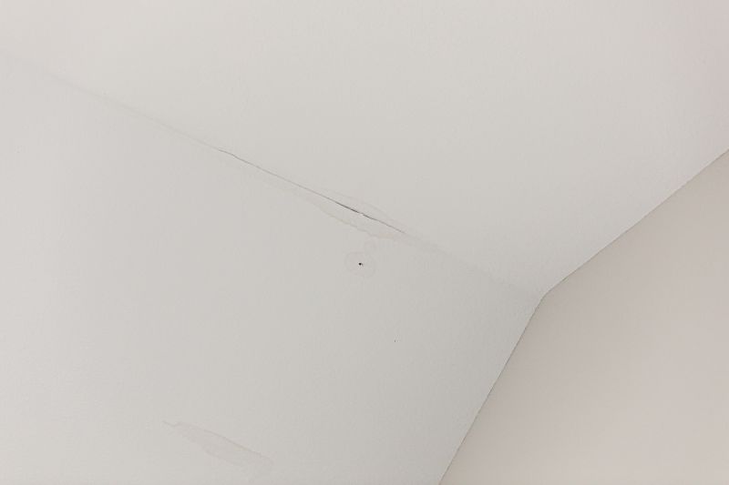 Leaking Ceiling Repair in Alpharetta, GA